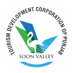soon valley logo